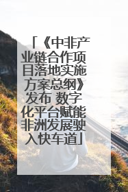 《中非产业链合作项目落地实施方案总纲》发布 数字化平台赋能非洲发展驶入快车道