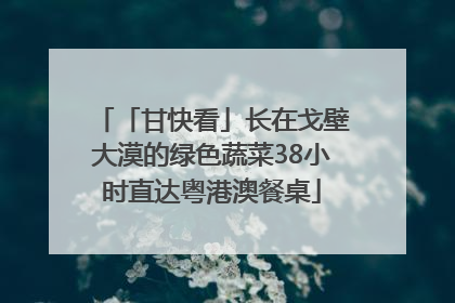 「甘快看」长在戈壁大漠的绿色蔬菜38小时直达粤港澳餐桌
