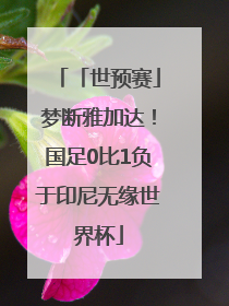 「世预赛」梦断雅加达！国足0比1负于印尼无缘世界杯
