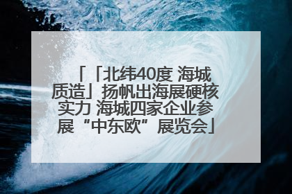 「北纬40度 海城质造」扬帆出海展硬核实力 海城四家企业参展“中东欧”展览会