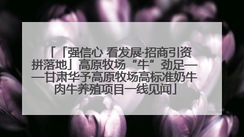 「强信心 看发展·招商引资拼落地」高原牧场“牛”劲足——甘肃华予高原牧场高标准奶牛肉牛养殖项目一线见闻
