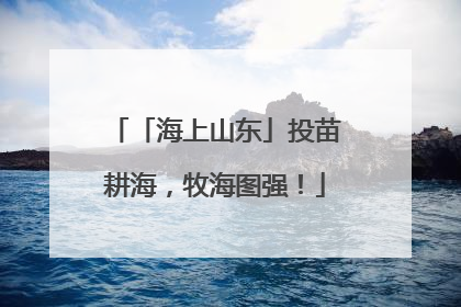 「海上山东」投苗耕海，牧海图强！
