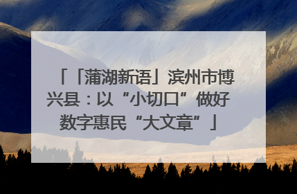 「蒲湖新语」滨州市博兴县：以“小切口”做好数字惠民“大文章”