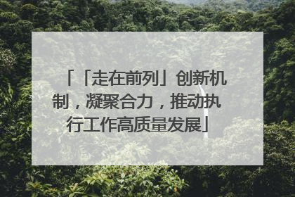 「走在前列」创新机制，凝聚合力，推动执行工作高质量发展