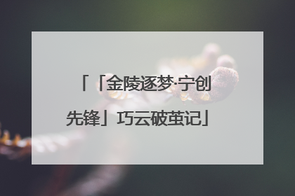 「金陵逐梦·宁创先锋」巧云破茧记