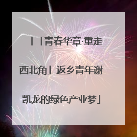 「青春华章·重走西北角」返乡青年谢凯龙的绿色产业梦