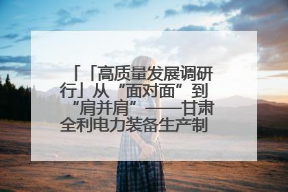 「高质量发展调研行」从“面对面”到“肩并肩”——甘肃全利电力装备生产制造项目一线见闻