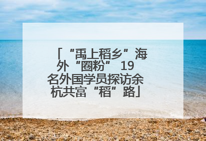 “禹上稻乡”海外“圈粉” 19名外国学员探访余杭共富“稻”路