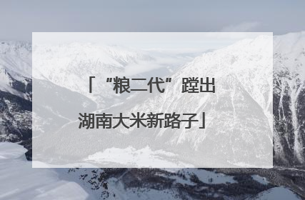 “粮二代”蹚出湖南大米新路子