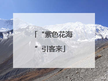 “紫色花海”引客来