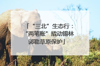 “三北”生态行：“两笔账”撬动锡林郭勒草原保护