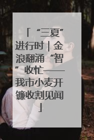 “三夏”进行时｜金浪翻涌“智”收忙——我市小麦开镰收割见闻
