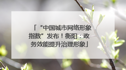“中国城市网络形象指数”发布！衡阳：政务效能提升治理形象