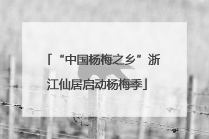 “中国杨梅之乡”浙江仙居启动杨梅季