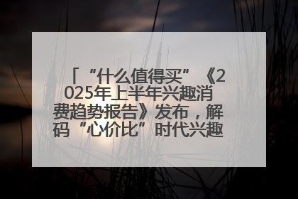 “什么值得买”《2025年上半年兴趣消费趋势报告》发布，解码“心价比”时代兴趣消费新范式