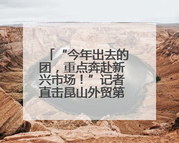 “今年出去的团，重点奔赴新兴市场！”记者直击昆山外贸第一线