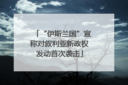 “伊斯兰国”宣称对叙利亚新政权发动首次袭击