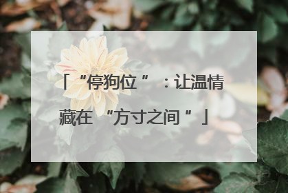 “停狗位 ”：让温情藏在 “方寸之间 ”
