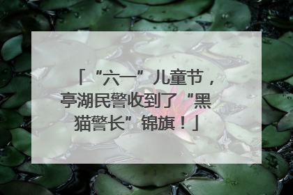 “六一”儿童节，亭湖民警收到了“黑猫警长”锦旗！