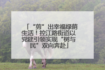 “剪”出幸福绿荫生活！控江路街道以党建引领实现“树与民”双向奔赴