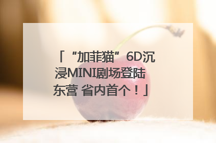 “加菲猫”6D沉浸MINI剧场登陆东营 省内首个！