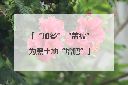 “加餐”“盖被” 为黑土地“增肥”