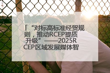 “对标高标准经贸规则，推动RCEP提质升级”——2025RCEP区域发展媒体智库论坛举行专题对话