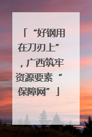 “好钢用在刀刃上”，广西筑牢资源要素“保障网”