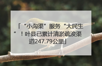 “小沟渠”服务“大民生”！叶县已累计清淤疏浚渠道247.79公里