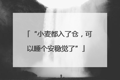 “小麦都入了仓，可以睡个安稳觉了”