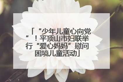 “少年儿童心向党”！平顶山市妇联举行“爱心妈妈”慰问困境儿童活动