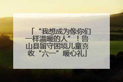 “我想成为像你们一样温暖的人”！鲁山县留守困境儿童喜收“六一”暖心礼