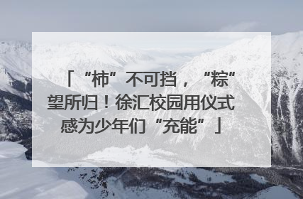 “柿”不可挡，“粽”望所归！徐汇校园用仪式感为少年们“充能”