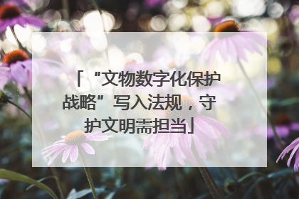 “文物数字化保护战略”写入法规，守护文明需担当