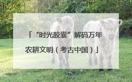 “时光胶囊”解码万年农耕文明（考古中国）