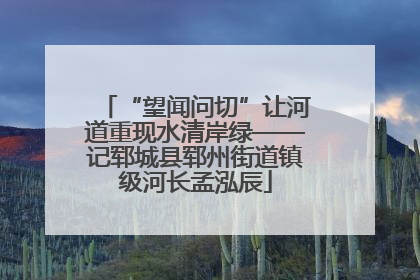“望闻问切”让河道重现水清岸绿——记郓城县郓州街道镇级河长孟泓辰