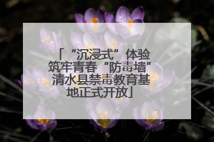 “沉浸式”体验 筑牢青春“防毒墙” 清水县禁毒教育基地正式开放
