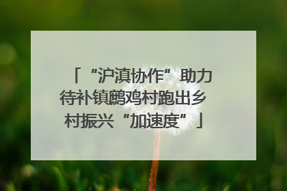 “沪滇协作”助力待补镇鹧鸡村跑出乡村振兴“加速度”