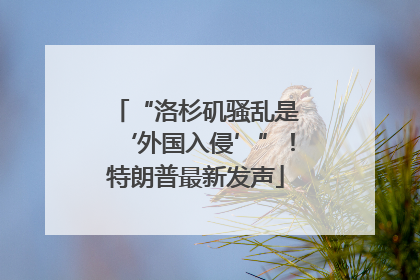 “洛杉矶骚乱是‘外国入侵’”！特朗普最新发声