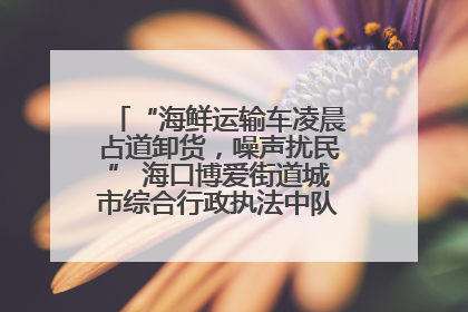 “海鲜运输车凌晨占道卸货，噪声扰民” 海口博爱街道城市综合行政执法中队：将联合交警加强长堤路一带巡逻