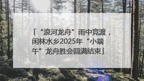 “浪河龙舟”雨中竞渡，闲林水乡2025年“小端午”龙舟胜会圆满结束