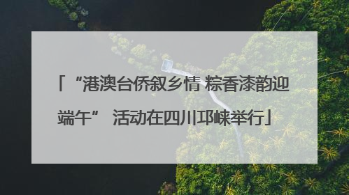 “港澳台侨叙乡情 粽香漆韵迎端午” 活动在四川邛崃举行