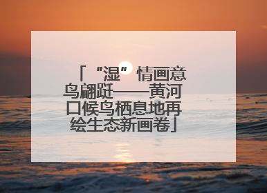 “湿”情画意鸟翩跹——黄河口候鸟栖息地再绘生态新画卷