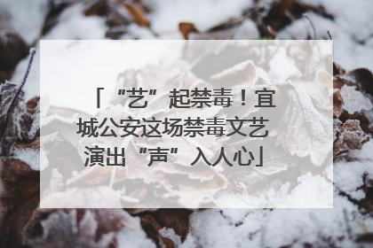 “艺”起禁毒！宜城公安这场禁毒文艺演出“声”入人心