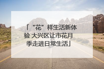 “花”样生活新体验 大兴区让市花月季走进日常生活