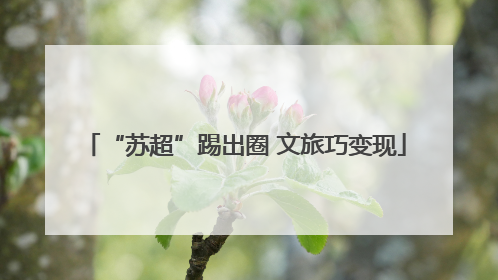 “苏超”踢出圈 文旅巧变现