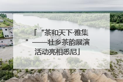 “茶和天下·雅集”——壮乡茶韵展演活动亮相悉尼