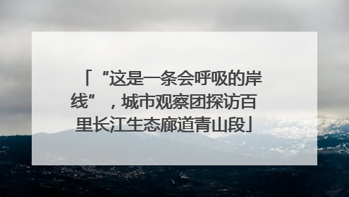 “这是一条会呼吸的岸线”，城市观察团探访百里长江生态廊道青山段