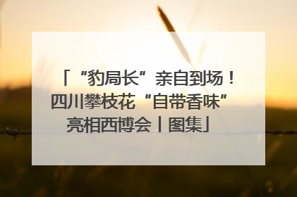 “豹局长”亲自到场！四川攀枝花“自带香味”亮相西博会丨图集