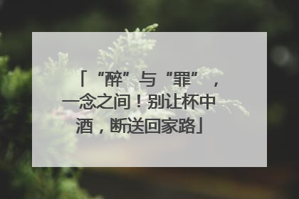 “醉”与“罪”，一念之间！别让杯中酒，断送回家路